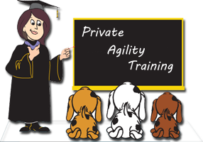 Private Dog Training